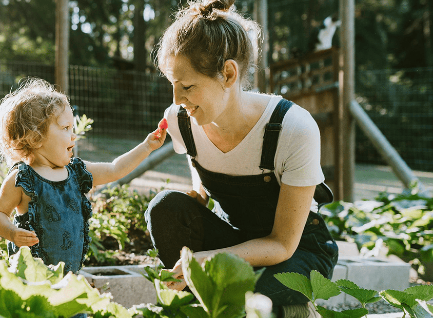 CÔNG TY CỔ PHẦN THƯƠNG MẠI DỊCH VỤ XUẤT NHẬP KHẨU ZI FARM