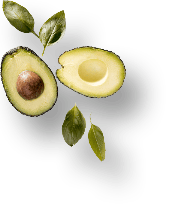 CÔNG TY CỔ PHẦN THƯƠNG MẠI DỊCH VỤ XUẤT NHẬP KHẨU ZI FARM