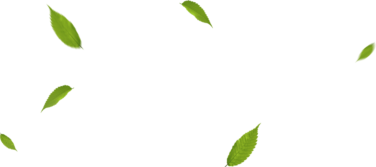 CÔNG TY CỔ PHẦN THƯƠNG MẠI DỊCH VỤ XUẤT NHẬP KHẨU ZI FARM